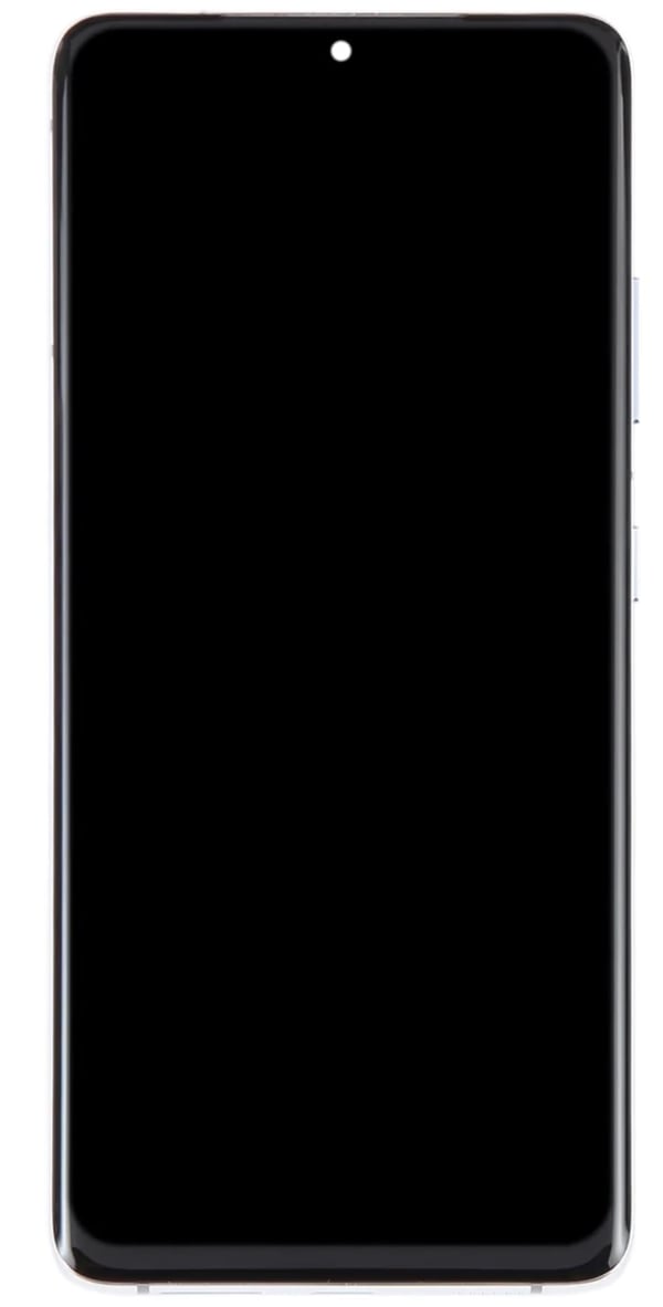Samsung Galaxy S21 Ultra 5G SM-G998B LCD-skärm och pekskärm OLED silverram