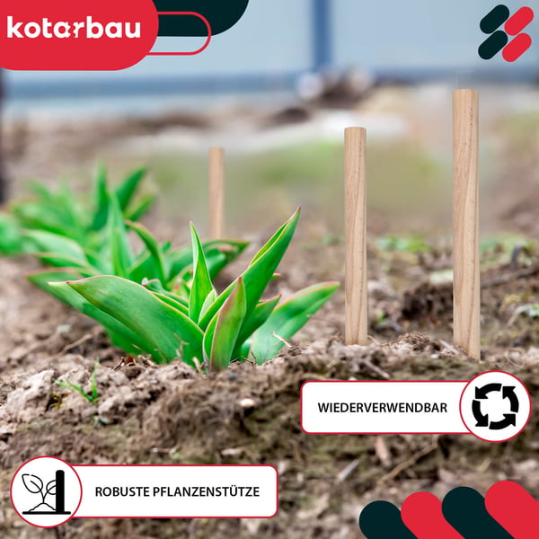 KOTARBAU® geodætiske træstokke i bøg til tomater, grøntsager og træer, 30 cm, 5-pak