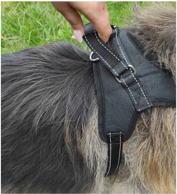 Stark lätt tryckfri hundsele med L-handtag