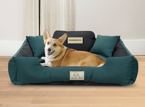 Hundeseng hundegård KINGDOG MM43 75x65 cm personaliseret aftagelig antiskrid grøn