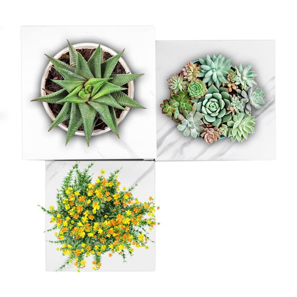 Metal stående blomsterstativ til potter, blomster, planter, hylde, stativ