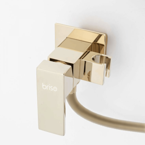 Bidetarmatur indbygget bidetarmatur toiletarmatur badeværelse guld
