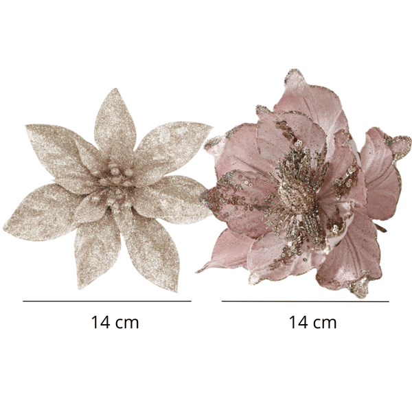 Bethlehems stjerne til juletræsblomster 6 stk champagne