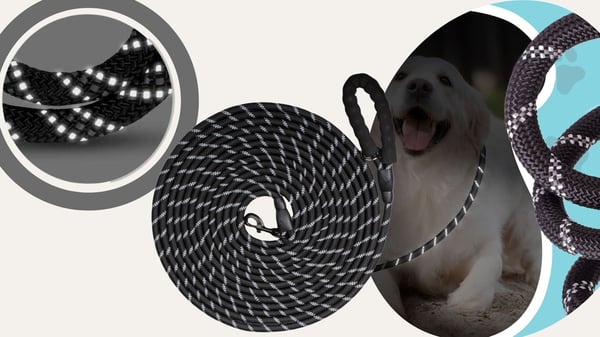 Hundträningskoppel stark lång tjock 10m