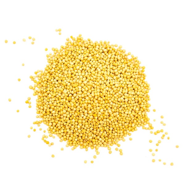 Vita senapsfrön 200g Premium