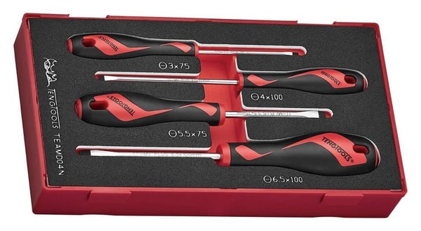 TENG TOOLS TEAMD04N ULOTETTU RUUVIMEISSELISARJA, 4 OSAA - L-285450102