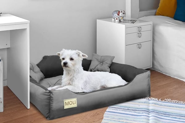 Hundeseng hundegård til hund 100x75 cm personaliseret grå