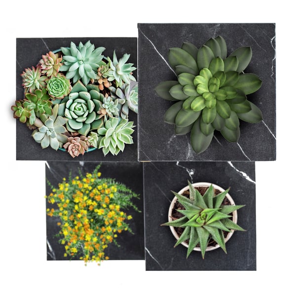 Stående blomsterstativ, plantestativ, metalloft, 4 niveauer, 68 cm