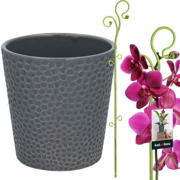 KOTARBAU® set med 11 cm keramisk blomkruka och 58 cm grönt växtställ, orkidéset