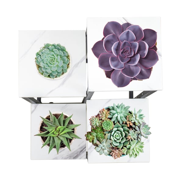 Kukkateline, kukkateline, ruukkukasvit, 4 hyllyä, loft-tyylinen
