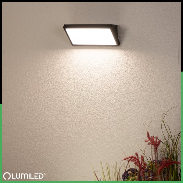Ulkopuutarhavalaisin, Julkisivuseinävalaisin, CCT 20W LED IP44, MAVIS LUMILED
