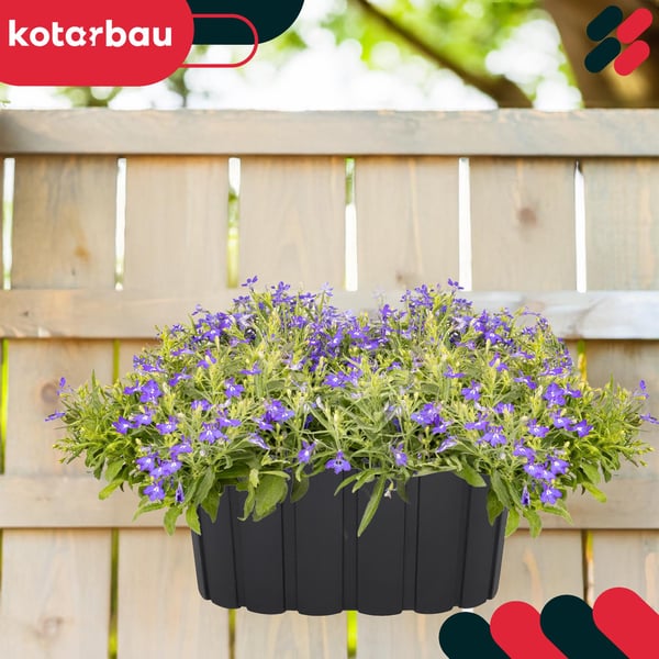 Balkongkruka med hängande handtag antracit 20 cm 4 st