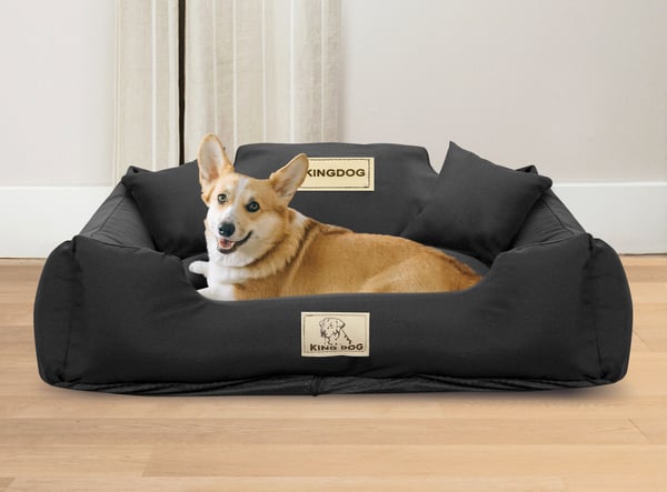 Koiran sänky aitta KINGDOG MM43 115x95 cm mukautettu purettava liukumaton musta