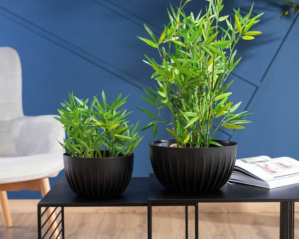 Avskalad ECO genbrugsblomstkrukke sort