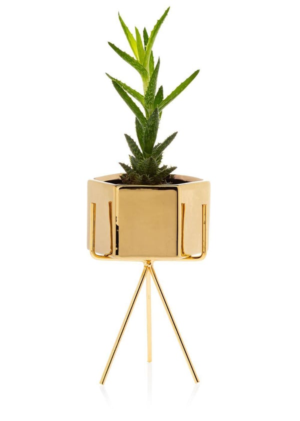 Sashi Guld Blomkruka 18,5 cm