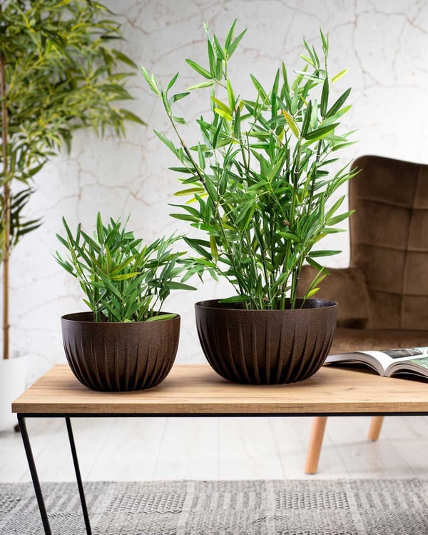 Avskalad ECO kaffeespresso blomkruka