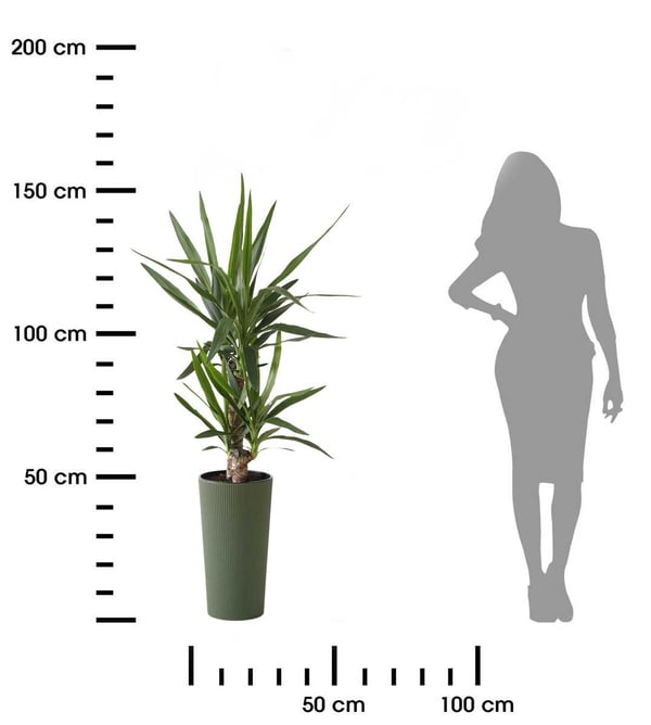 Urbanika ECO träblomkruka grön h46 cm