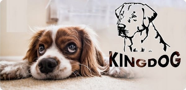 Hundeseng kennel KINGDOG 115x95 cm personaliseret vandtæt sølv knogler