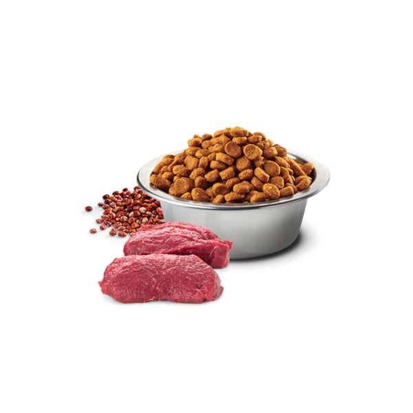 FARMINA N&D QUINOA hjort og kokos MED&MAXI 7kg