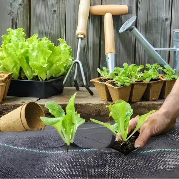 Sort agrotekstil til ukrudt, mulching, 3,2x100m, 70g pløkker