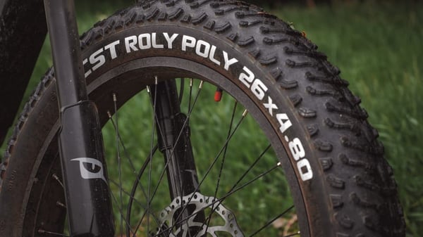 CST Roly Poly rasvarengas 26x4,8 tuumaa 122-559 60TPI