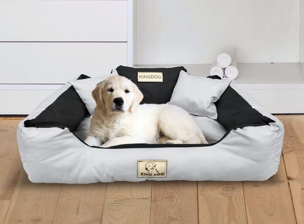 Koiransänky kojek KINGDOG 75x65 cm personoitu vedenpitävä vaaleanharmaa