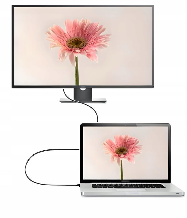 USB-C DisplayPort DP 4K 60Hz 1,8m Thunderbolt USB C 3.1-kabel til skærm