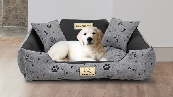 Koiranpeti KINGDOG 75x65 cm personoitu vedenpitävä luut musta