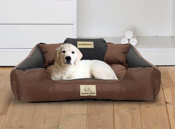 Hundeseng kennel KINGDOG 55x45 cm personaliseret vandtæt brun