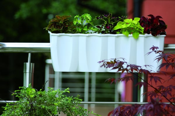 Crown DCRO600 blomkruka med räcke antracit