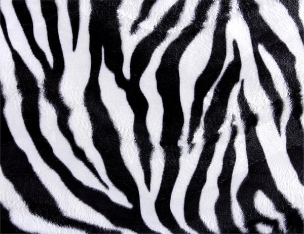 Glas skärbräda 52x40 zebra