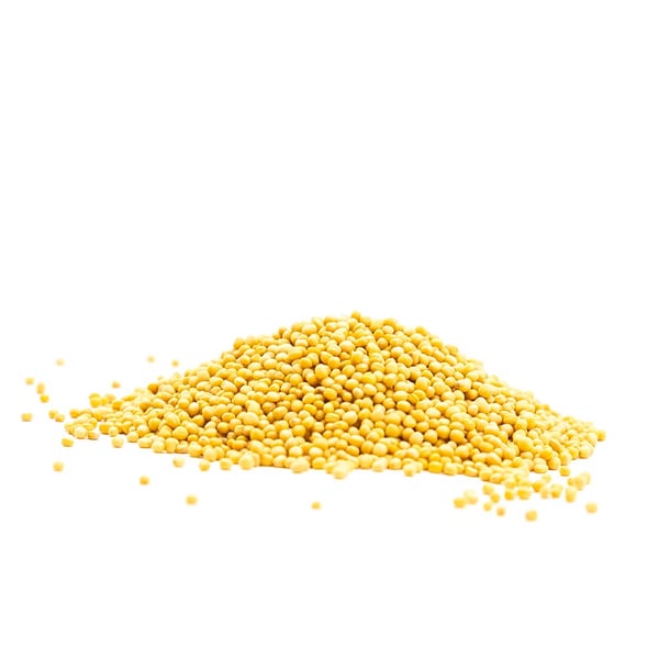 Vita senapsfrön 200g Premium
