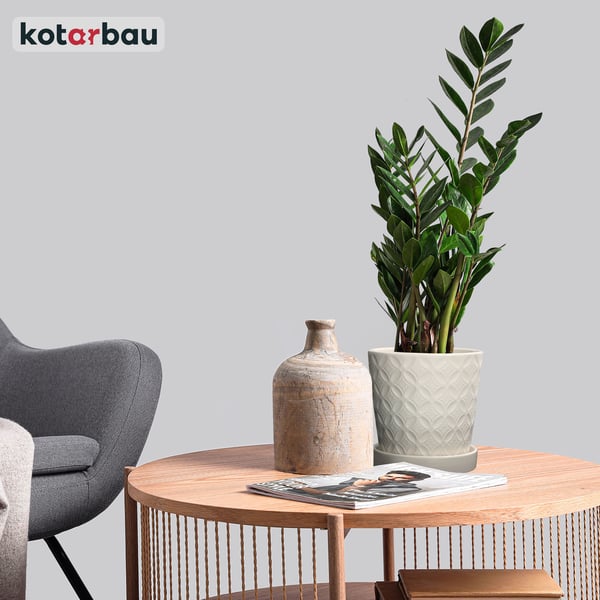 Kotarbau® Rund Vit Blomkruka 13 cm med Fat Glaserad Keramik Blom- och Örtkruka
