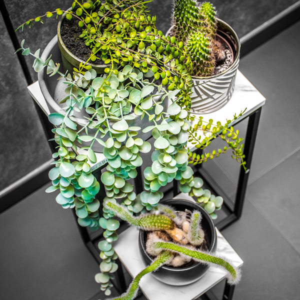 Metal stående blomsterstativ til potter, blomster, planter, hylde, stativ