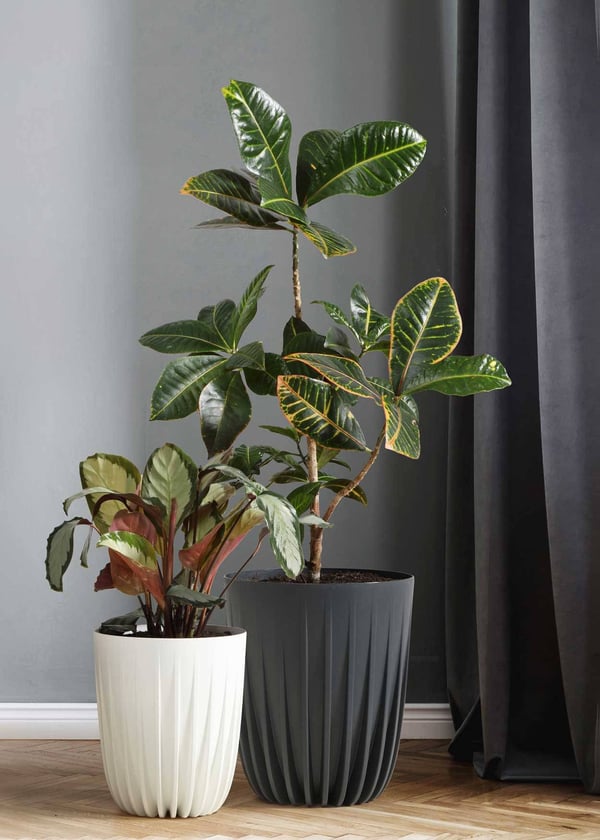 Avskalad ECO Recycling blomkruka vit