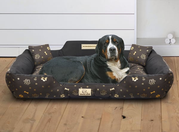 Hundeseng kennel KINGDOG 115x95 cm personliggjort vandtæt gyldne knogler