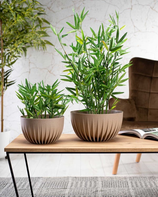 Blomkruka Stripped ECO kaffe latte 24x14 cm