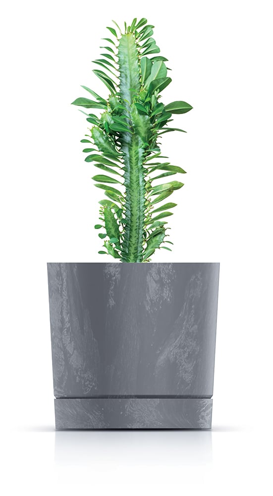 Tubo P Beton Effect 240E rund urtepotte med underkop | Antracit