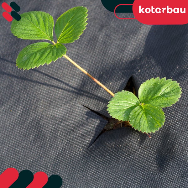 Kotarbau® rikkaruohojen torjunta-aine puutarhaan, yleismallinen, musta, 70 g/m², 0,6 x 10 m