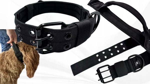 Hundhalsbandstejp med handtag brett starkt justerbart XL 54-64 cm