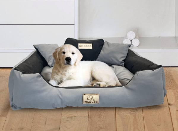 Hundeseng kennel KINGDOG 115x95 cm personaliseret vandtæt mørkegrå