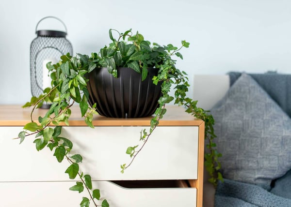 Avskalad ECO genbrugsblomstkrukke sort