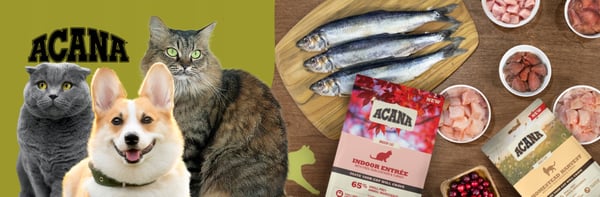 ACANA Highest Protein Indendørs Kattefoder 4,5 kg