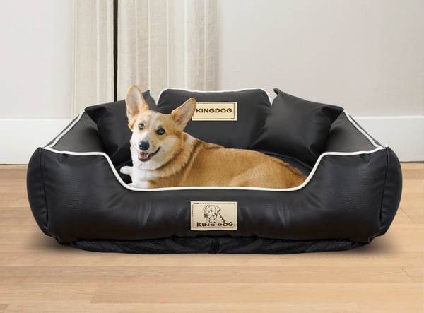 Koiran sänky kenneli KINGDOG ekonahka 100x75 cm personalisoitu irrotettava liukumaton musta