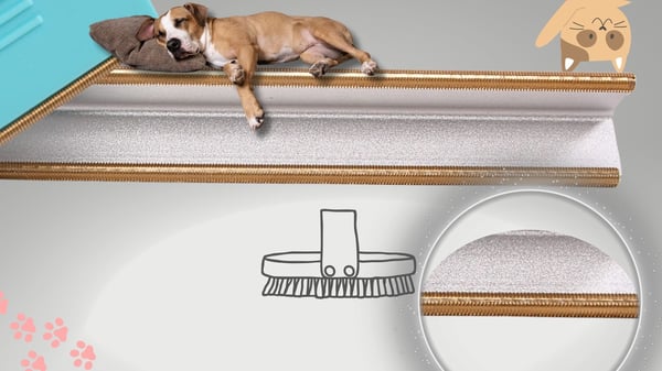 Børste til rengøring og fjerning af hunde- og kattehår fra sofa og tæppe