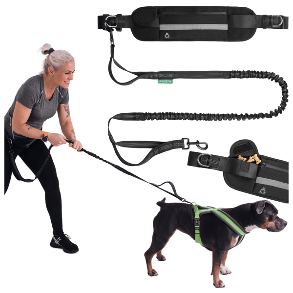 Höftbälte med koppel resår löpning med hund