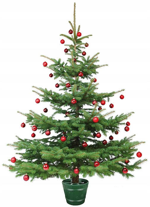 Planet 1 juletræsfod | Brun