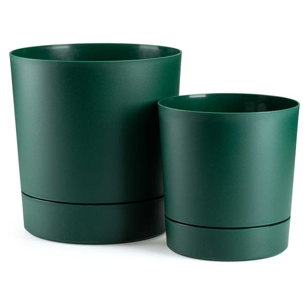 Azalea avocadopotte med underkop 22 cm