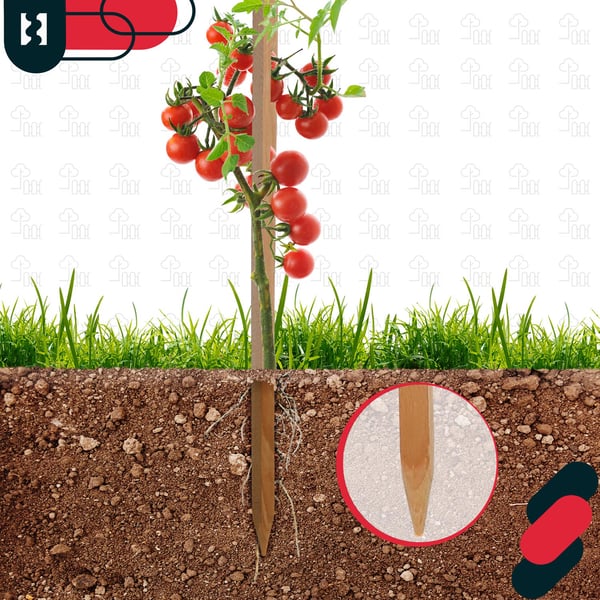 KOTARBAU® Tøjestöd til tomater og grønsager, 50 cm, sæt med 20 stk.