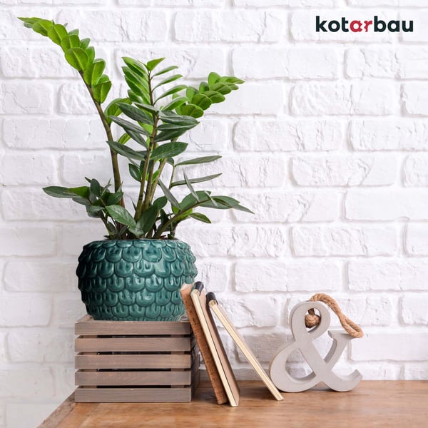 KOTARBAU® 2 stk kunstnerisk blomkruke 17 cm turkis låg vintage keramik håndlavet blomst- og urtekruke